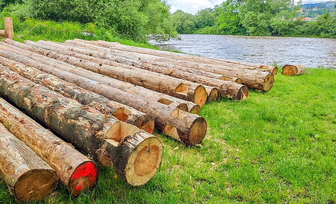 Машинист сплоточной (сортировочной) машины